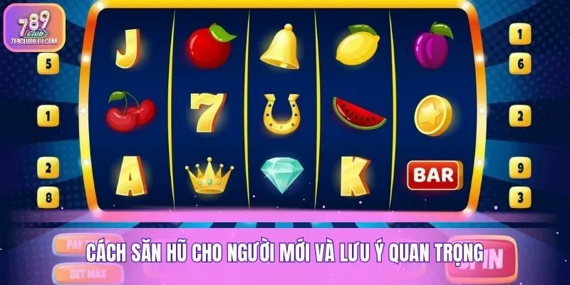 Cách săn hũ cho người mới và lưu ý quan trọng