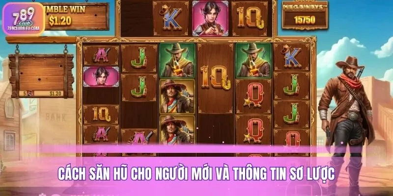 Cách săn hũ cho người mới và thông tin sơ lược