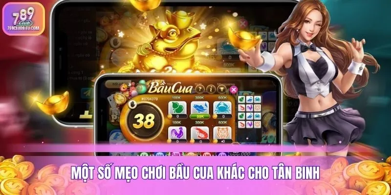 Một số mẹo chơi bầu cua khác cho tân binh